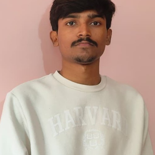 Sunny Raj